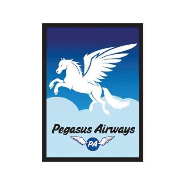 Legion Premium Sleeves Card Supplies Standard Size Gloss Pegasus Air 50 Pieces - Racoon Cave