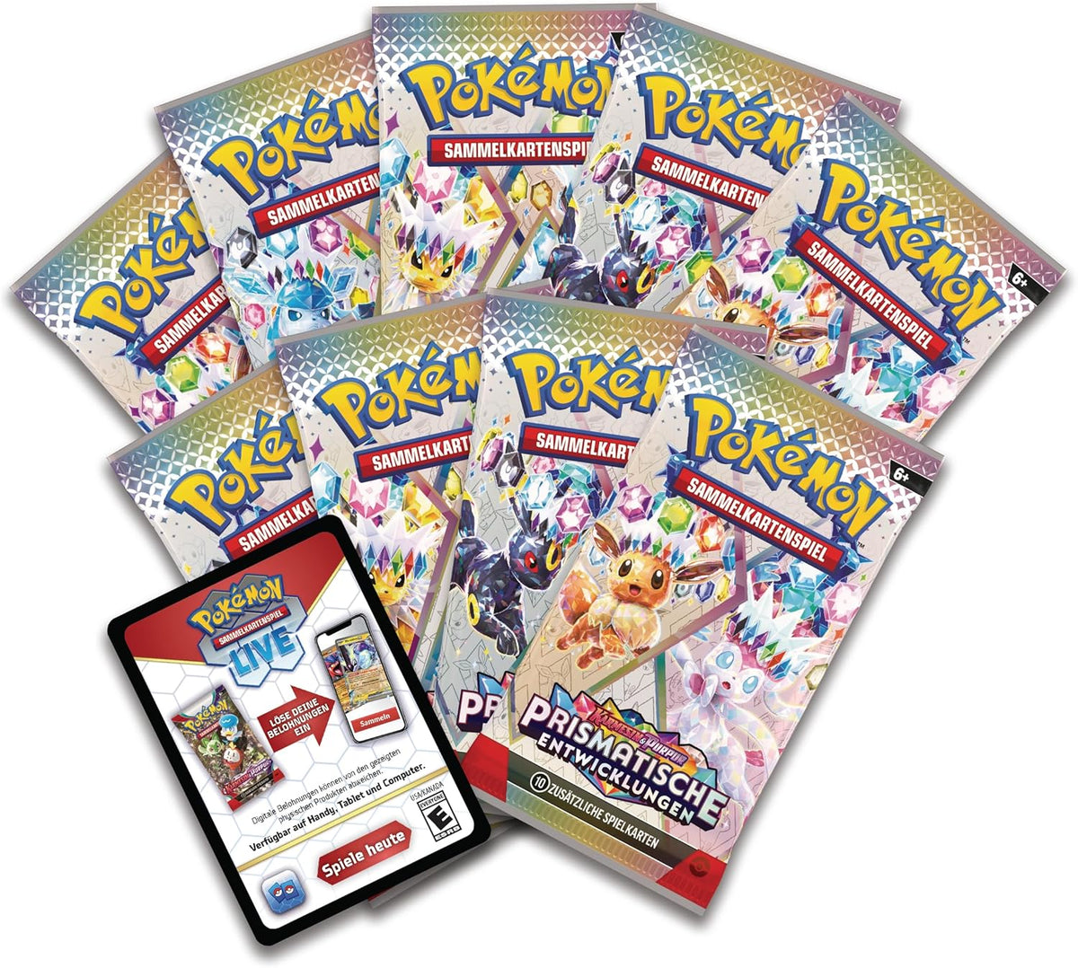 PKM Top-Trainer Box – Prismatische Entwicklungen DE - Racoon Cave