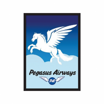 Legion Premium Sleeves Card Supplies Standard Size Gloss Pegasus Air 50 Pieces - Racoon Cave